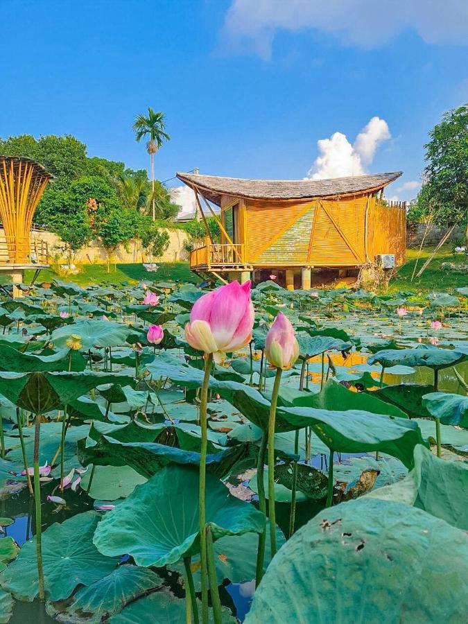 Little Bee House Hotel Trai Vang Exterior photo